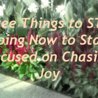 Want More Joy? Stop Doing These 3 Things.