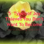 Types of Joy Thieves