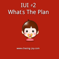 IUI #2:  What’s The Plan For Conceiving My Bundle Of Joy