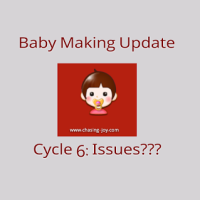 Baby Making Update: Cycle 6 Issues???