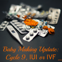 Baby Making Update: Cycle 9, IUI or IVF