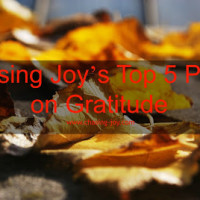 Chasing Joy’s Top 5 Posts to Help You Focus On Gratitude