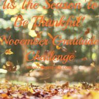 November Gratitude Challenge