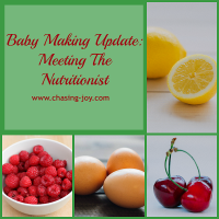 Baby Making Update: Meeting The Nutritionist