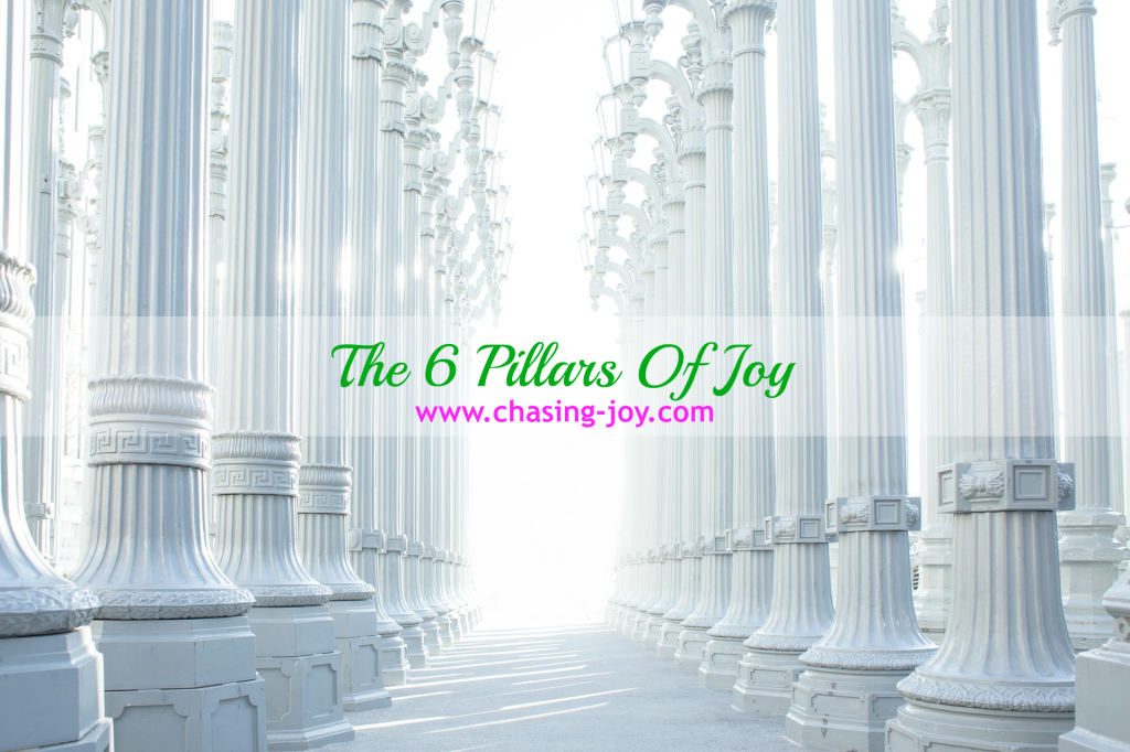 Pillars of Joy. Six areas to focus on to become or stay happy. 