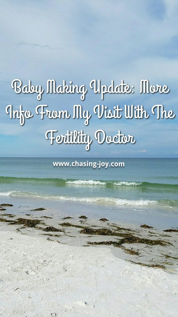 Baby Making Update: More Info From My Visit With The Fertility Doctor