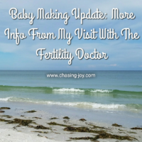 Baby Making Update: More Info From My Visit With The Fertility Doctor