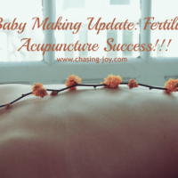 Baby Making Update: Fertility Acupuncture Success!!
