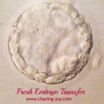 Fresh Embryo Transfer