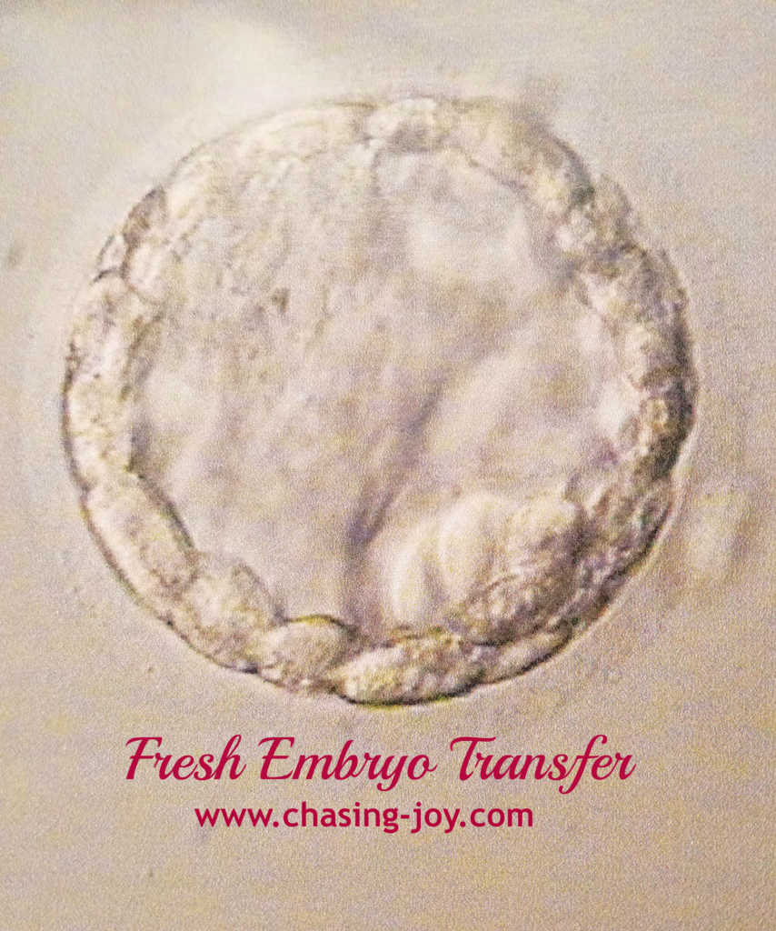 Fresh Embryo Transfer