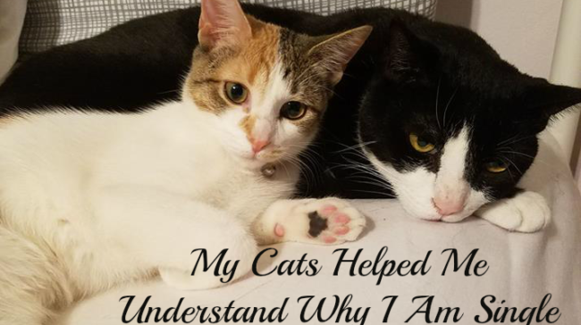 My Cats Helped Me Understand Why I Am Single