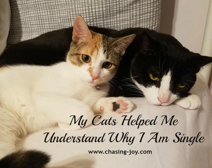 My Cats Helped Me Understand Why I Am Single