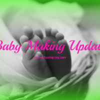 Baby Making Update: Back in Stirrups!