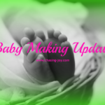 Baby Making Update: The Plan for Embryo Transfer #3
