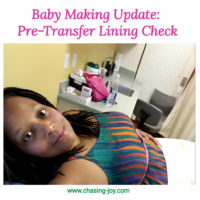 Baby Making Update: Lining Check Before FET
